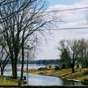 pattiewood